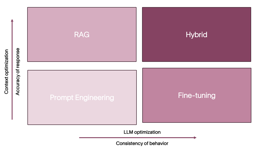 Fig 2. LLM Domain Adaptation Techniques.